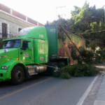 Tráiler derribó una rama de un árbol y postes en Avenida Hidalgo