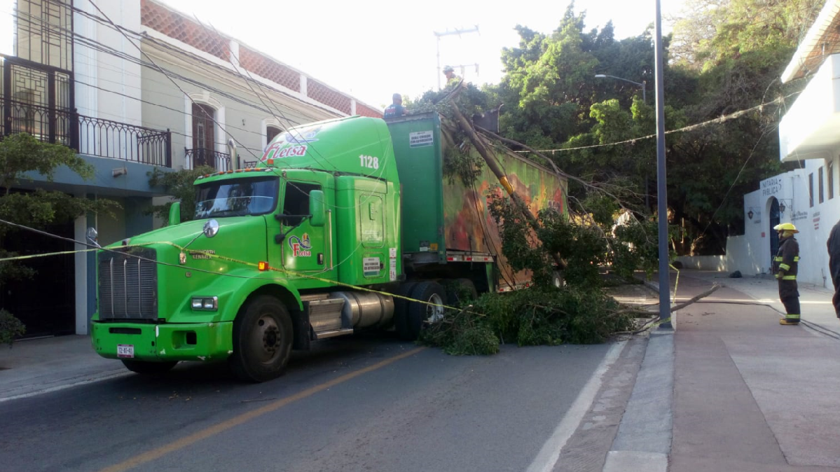 En este momento estás viendo Tráiler derribó una rama de un árbol y postes en Avenida Hidalgo