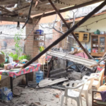 Cae rama de árbol y causa daños en Ajijic