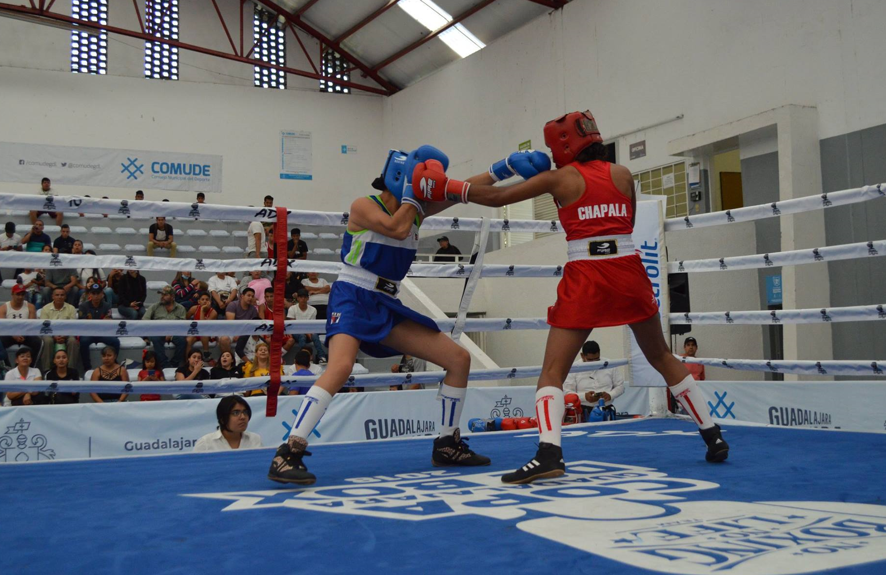 En este momento estás viendo Maite Vázquez va por su pase a dos competencias internacionales de box