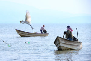 Lee más sobre el artículo Invertirán fondos alemanes para mejorar prácticas productivas en el Lago de Chapala