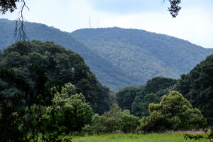 Lee más sobre el artículo <strong>Invita OPD Bosque La Primavera al cierre de actividades del 6to Festival</strong>