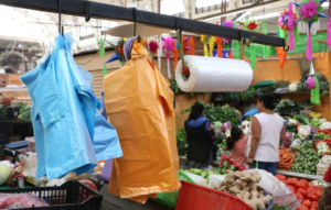Lee más sobre el artículo Inicia en Chapala verificación de prohibición de bolsas de plástico
