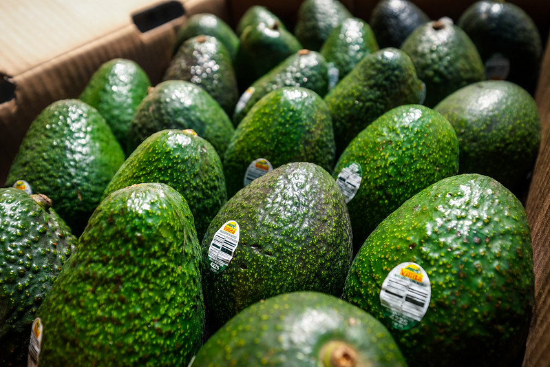 En este momento estás viendo Se inaugura planta empacadora de aguacates en Acatlán de Juárez; generará empleos e impulsará la producción del aguacate jalisciense