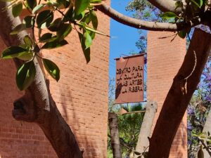 Lee más sobre el artículo Presentan calendario de actividades en el Centro para la Cultura y las Artes de la Ribera