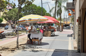 Lee más sobre el artículo Comerciantes de Chapala deberán cambiar sombrillas de colores por verdes