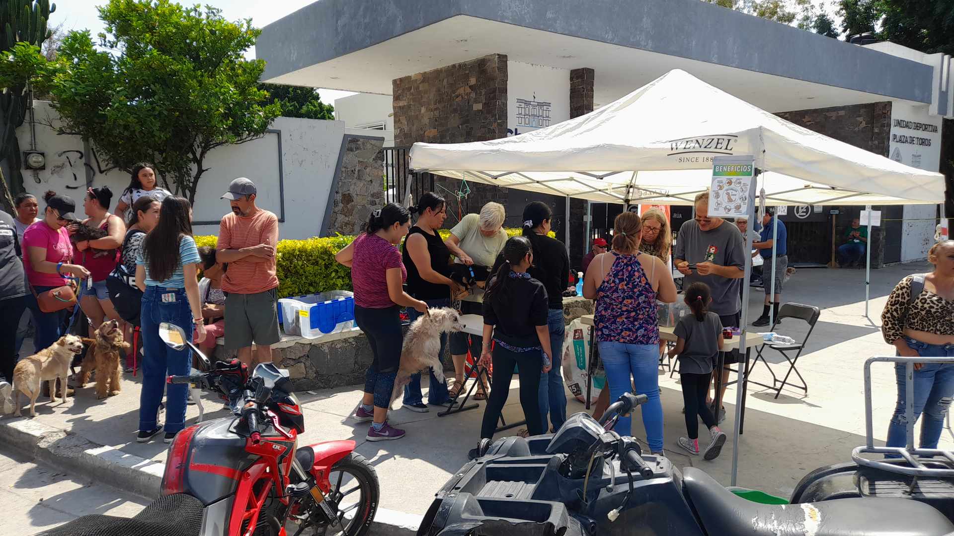 En este momento estás viendo Más de 400 perros y gatos fueron vacunados contra la rabia en Chapala