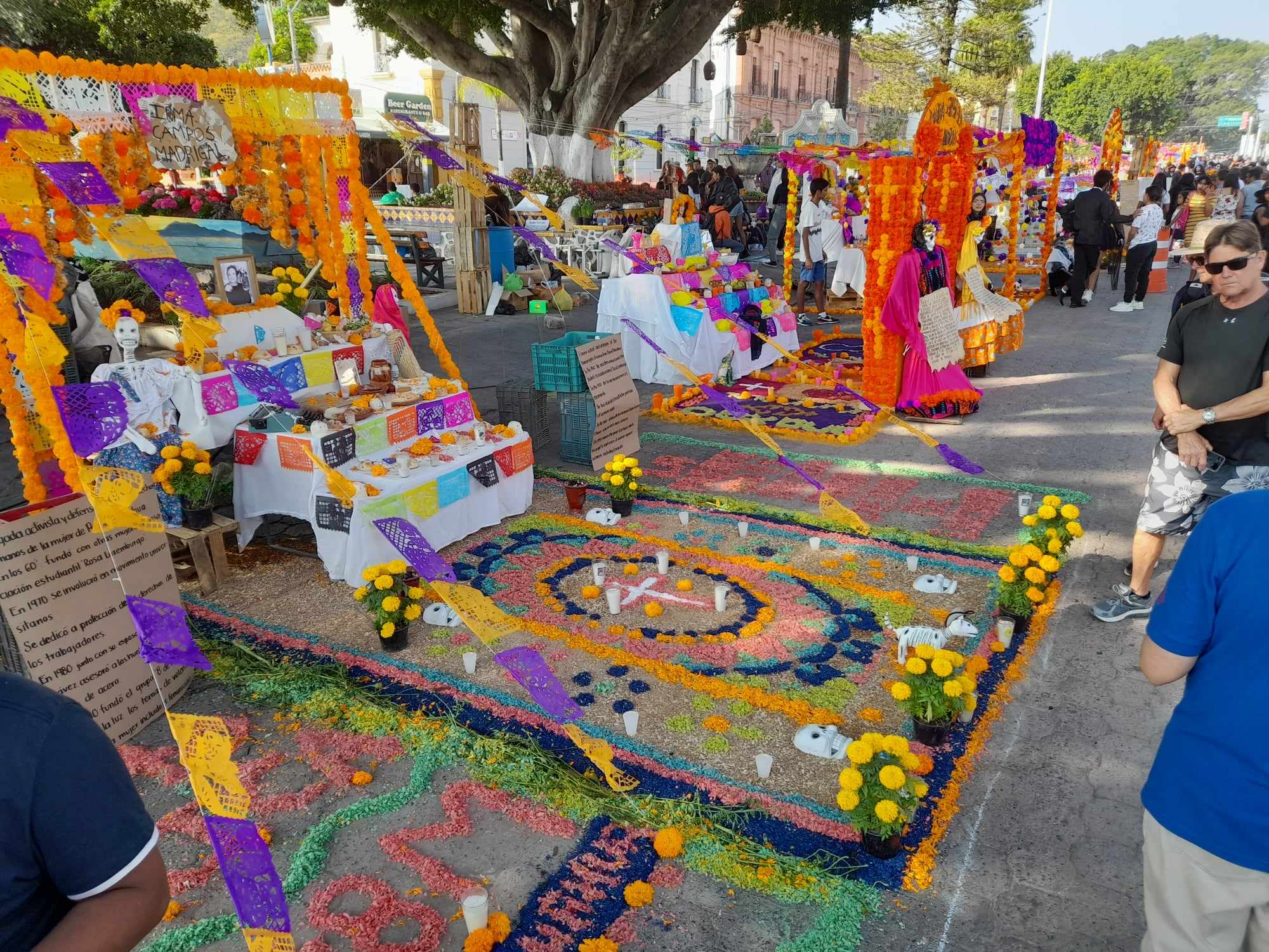 En este momento estás viendo Alistan el Festival Cultural de Vida y Muerte en Chapala