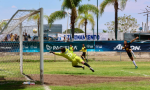 Lee más sobre el artículo Ya están registradas las selecciones de Chapala para la Copa Jalisco