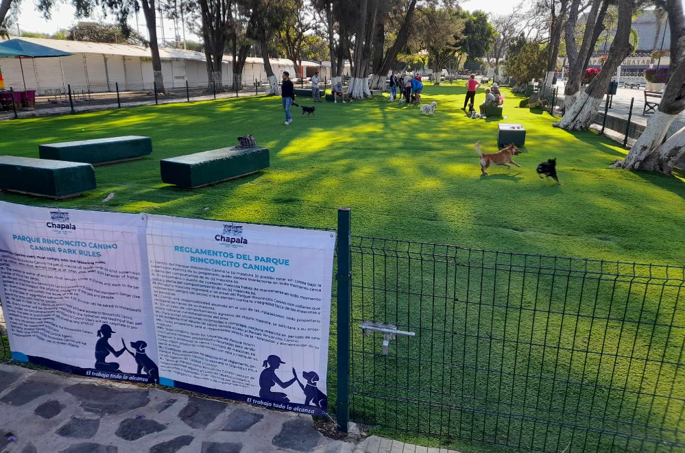 En este momento estás viendo Abren el primer parque para perros en Chapala