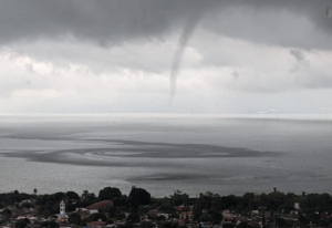 Lee más sobre el artículo Captan “culebra de agua” en el Lago de Chapala