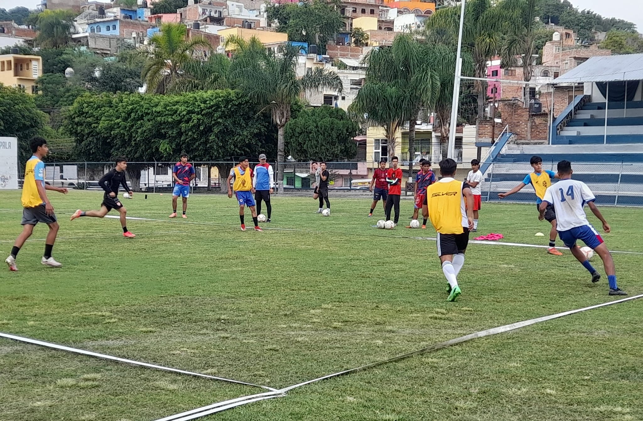 En este momento estás viendo Listo el camino para Charales de Chapala