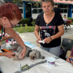 Esterilizan a 170 mascotas en Jocotepec