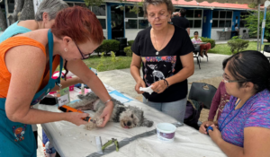 Lee más sobre el artículo Esterilizan a 170 mascotas en Jocotepec