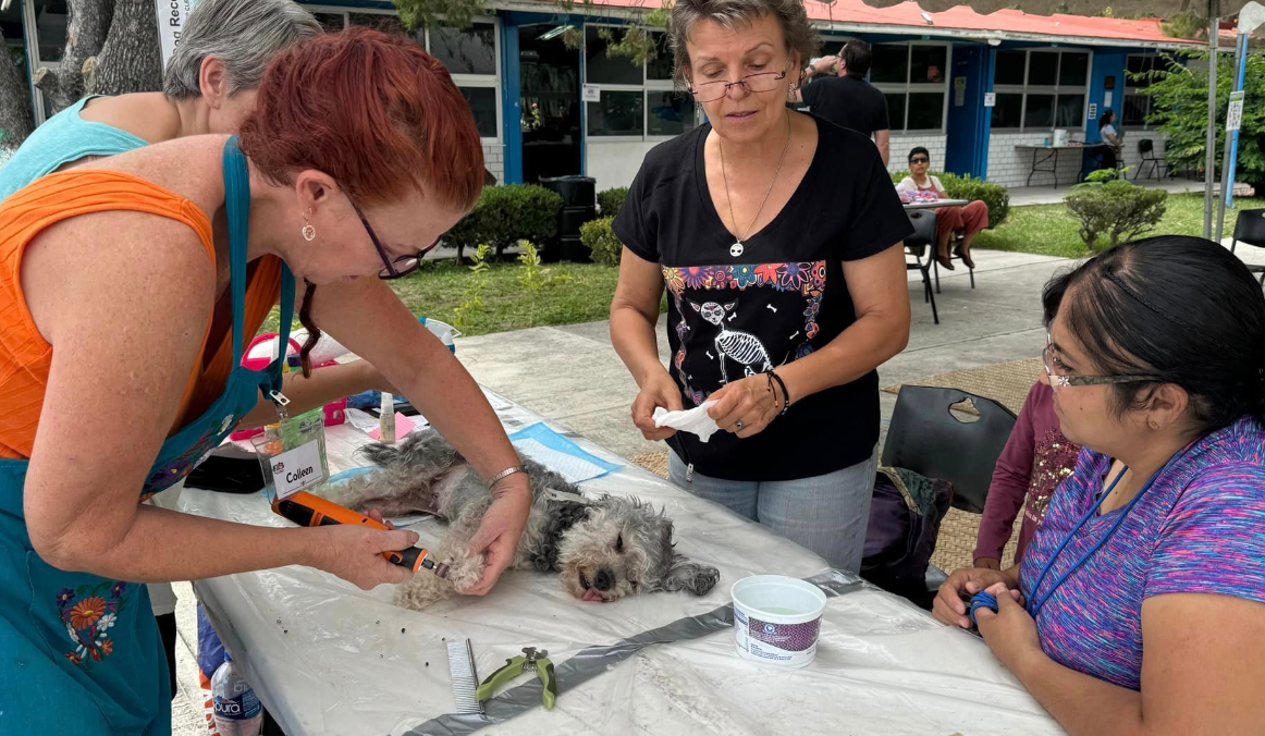 En este momento estás viendo Esterilizan a 170 mascotas en Jocotepec