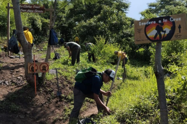 Lee más sobre el artículo Plantan más de 8 mil árboles en la cuenca del Lago de Chapala