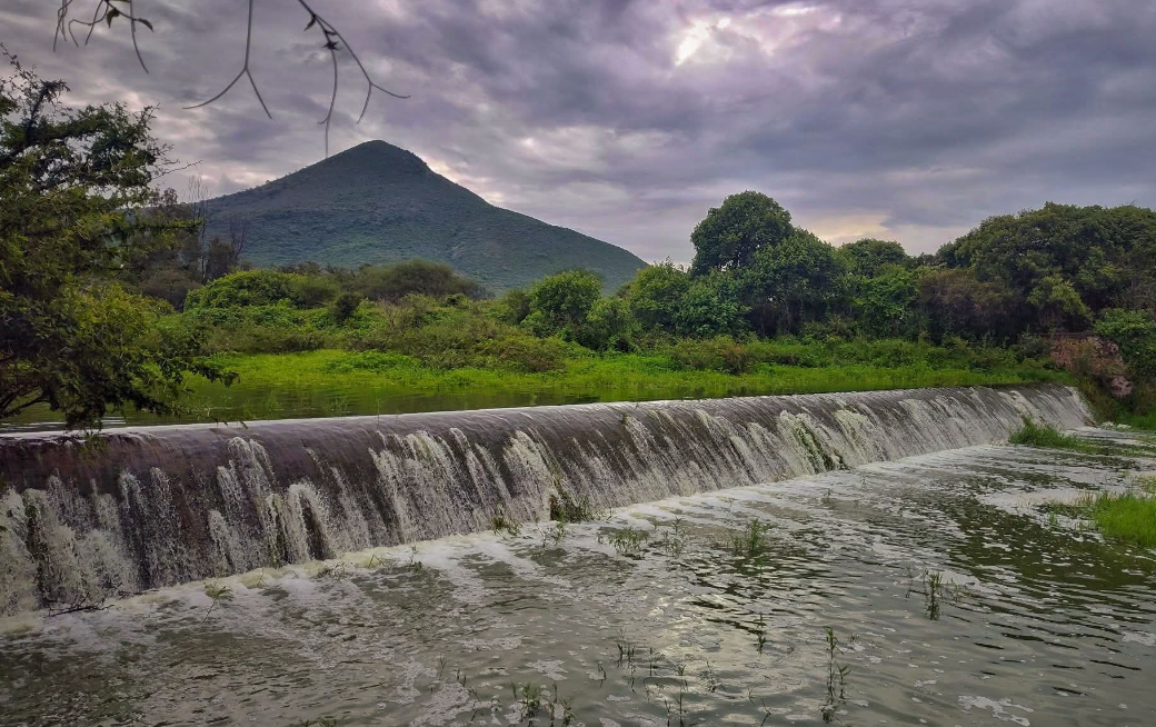 En este momento estás viendo Cinco de las seis presas de Chapala están al 100%