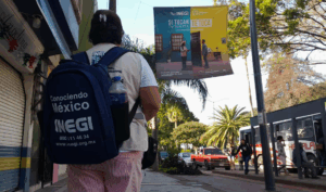 Lee más sobre el artículo En proceso, la Encuesta Intercensal 2025 del INEGI en la ribera de Chapala