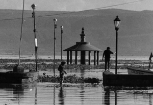 Lee más sobre el artículo Presentarán la vida y obra de 50 chapalenses en un libro