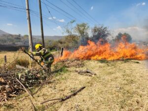 Lee más sobre el artículo Incendios en Chapala arrasan con 1,200 hectáreas en la temporada de estiaje