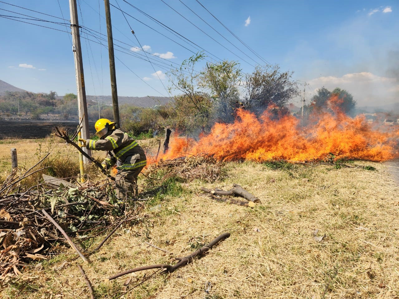 En este momento estás viendo Incendios en Chapala arrasan con 1,200 hectáreas en la temporada de estiaje