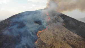 Lee más sobre el artículo Incendio forestal afecta 800 hectáreas en San Nicolás de Ibarra y Cerro de San Francisco