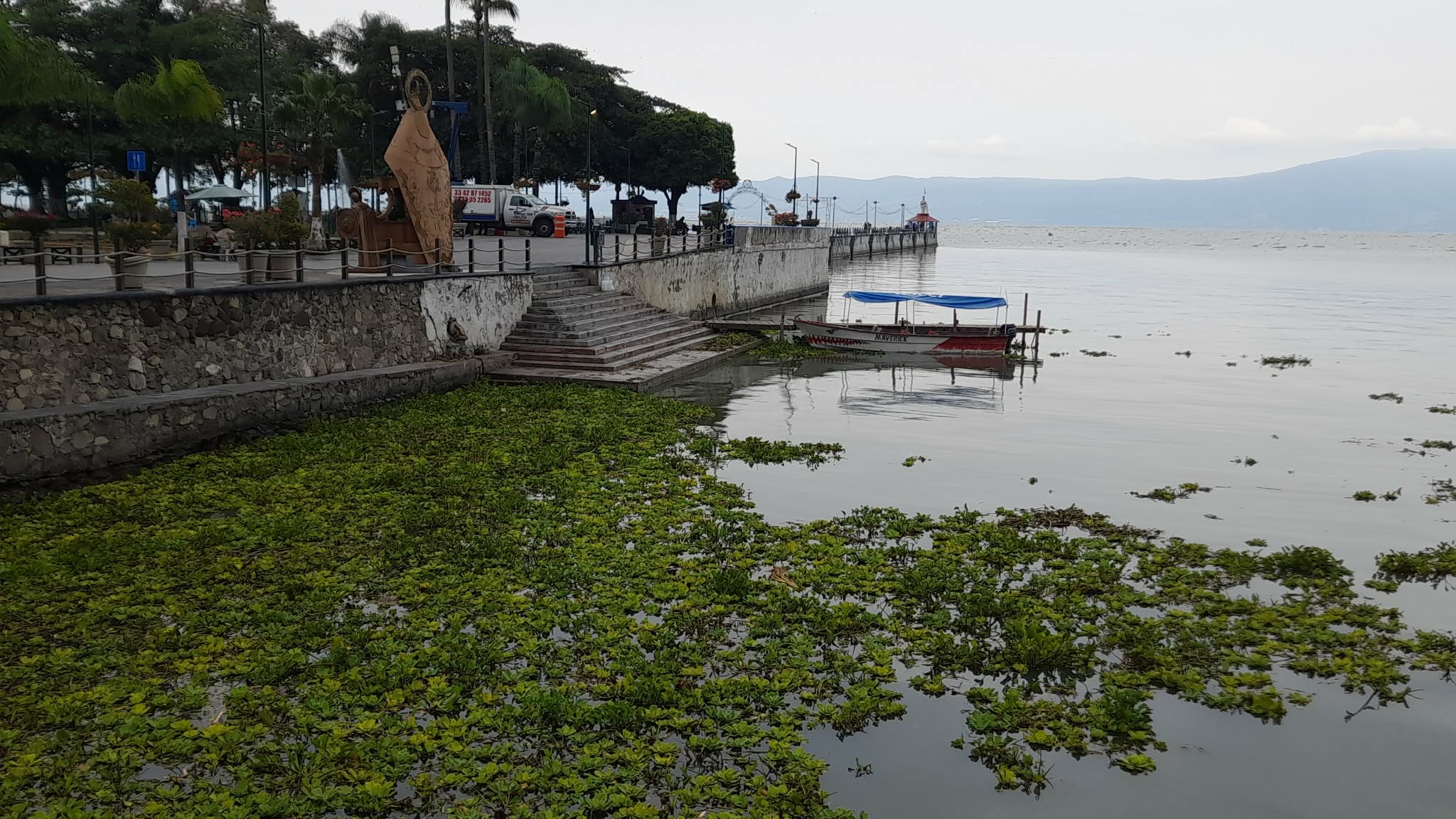 En este momento estás viendo Lago de Chapala gana 38 centímetros en el temporal y alcanza su mejor nivel en tres años
